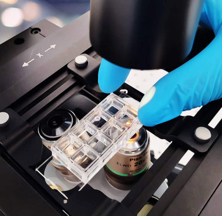 突破力学生物学极限——Discoverer™ 布里渊显微镜助力三维机械成像研究 
